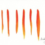 orange lines 2011