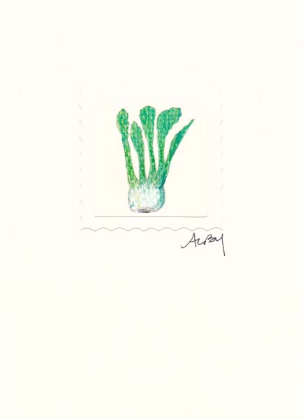 spring fennel veggie card series 2011